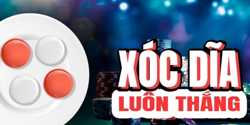 Tool cầu xóc đĩa là gì? Hiệu quả đối với người chơi như nào? 4 Tool cầu xóc đĩa